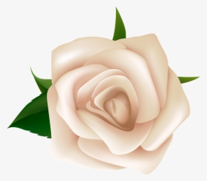 White Rose Free Png Image - Clip Art White Rose Png