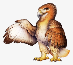 25 9 Red Tailed Hawk - Bird