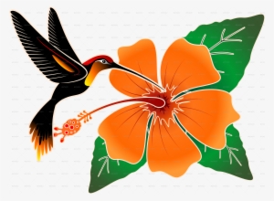 Orange Hibiscus And Hummingbird-png - Hummingbird And Hibiscus Throw Blanket
