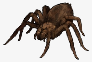 Spider Transparent Giant - Giant Spider Png