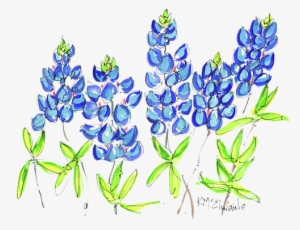 Bleed Area May Not Be Visible - Bluebonnet Watercolor