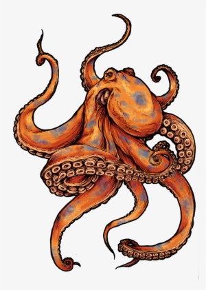 Octopus Tattoos Designs And Pictures - Tattoo Octopus