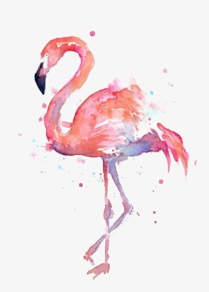 T Shirt Paper Watercolor - Flamingo Watercolor