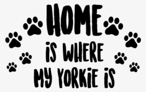 Home Is Where My Yorkie