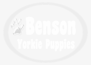 Teacup Yorkie Puppies For Adoption - Family Of 5 Stick People