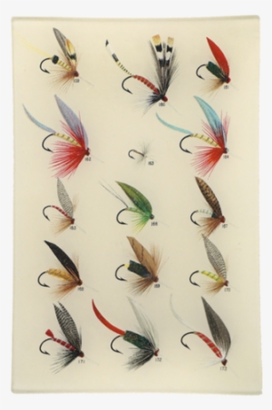 Trout Flies - Old Fly Illustration Fishing