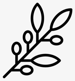 Olive Branch Vector - Ramito De Olivo Dibujo