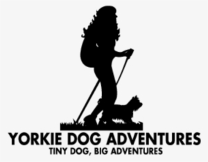 Yorkie Dog Adventures - Dog