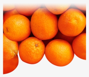 Oranges-v2 - Blood Orange