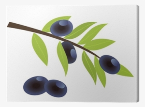 Vector Olive Branch With Olives Canvas Print • Pixers® - Olive