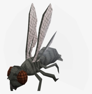 Fly Png Image Graphic Black And White Download - Demonic Giant Flies Pathfinder