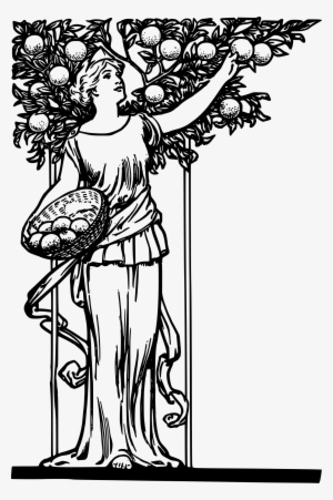 This Free Icons Png Design Of Lady Picking Oranges