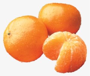 Buying Temple Oranges - Orange