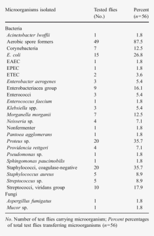 Of Microorganisms Identified And The Number Of Infested - Microorganism