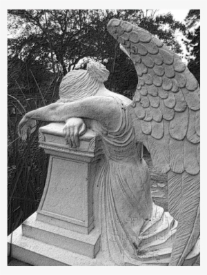 Glenwood Cemetery Weeping Angel - Stone Field Reverie