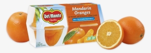 No Sugar Added, Fruit Cup® Snacks - Del Monte Mandarin Oranges In Water - 4 Pack, 4 Oz