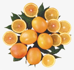 Oranges Png, Fruits, Agrumes - Orange
