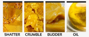 Shatter Is What Is Referred To As Very Stable And Glass - Crumble Concentrate