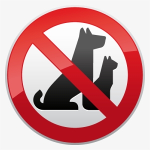Following Rules - No Se Permiten Mascotas