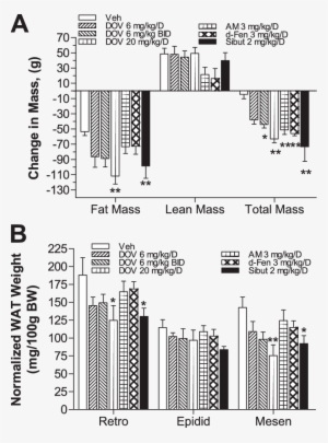 Changes In Body Mass Characteristics Of Dio Rats After - Dexfenfluramine
