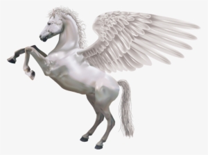 Best Free Pegasus Png Icon - White Horse