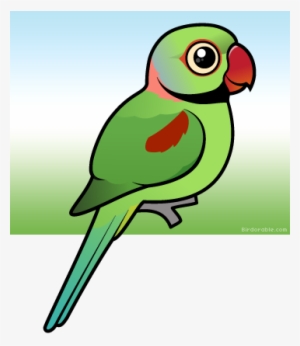 Meet The Cute Alexandrine Parakeet By Birdorable - Cartoon Parrot Indian Ringneck