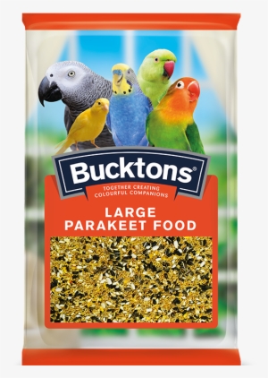 Large Parakeet - Bucktons Small Parakeet