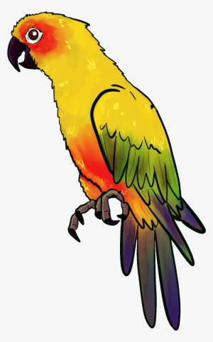 Image Library Stock Of An Yellow Parrot Free Image - Gambar Burung Nuri Animasi