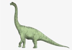 Opinion - Brachiosaurus 2016