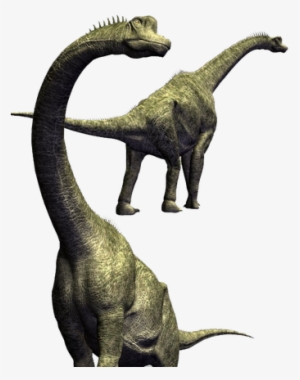 Brachiosaurus - Hd Dinosaurs Transparent Png