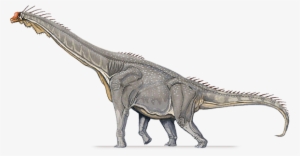 brachiosaurus hind leg
