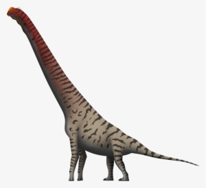 Vector Library Giraffatitan Brancai By Spinoinwonderland - Brachiosaurus Giraffatitan