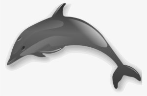 File - Dolphin - Svg - Dolphin Clip Art