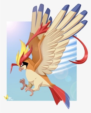 Pidgeotmegaswoop - Illustration