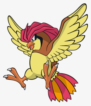 Pidgeot Pokémon Wiki Fandom Powered By Wikia - Pidgeotto Shiny