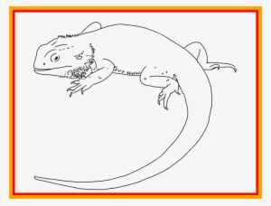 Unbelievable Image Result For Bearded Dragon Line Art - Bearded Dragon Lizard Drawing