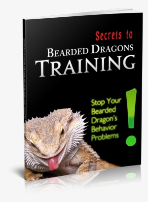 secrets to bearded dragons training - besrded dragon xmas stocking