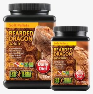 Related Products - Adult Bearded Dragon - Exo Terra