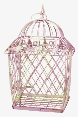 Empty Bird Cages - Cage