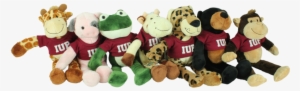 Stuffed Animal, Wild Bunch, Iup T-shirt - Stuffed Toy