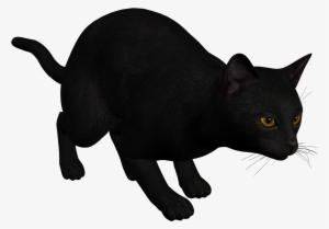 Cat Black Png Clipart - Cat Black Clipart