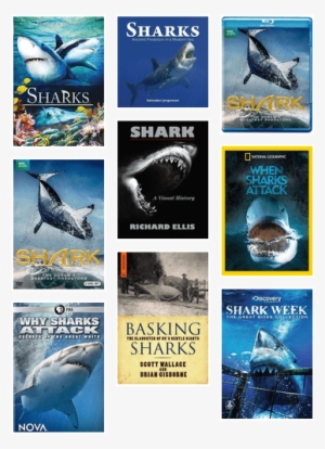 Cinema Libre Studios Sharks [dvd] Usa Import