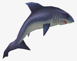 Raw - Shark Fish Png