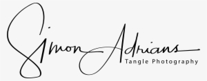 Tangle Photography - Calligraphy