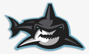 Cool Shark Logo Png