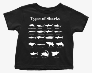 Types Of Sharks Toddler T-shirt - Types Of Sharks List