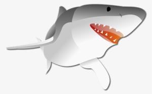 Shark Graphic Predator Shark Shark Shark S - Cartoon No Background Shark