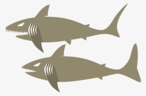 Tubarao - Tubrao - Shark - รูป กราฟฟิก ฉลาม