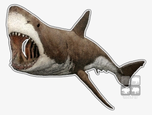 Great White Shark Art Decal - Great White Shark Mug