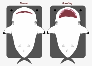 Animal[animal] Updated Great White/shark - Requiem Shark